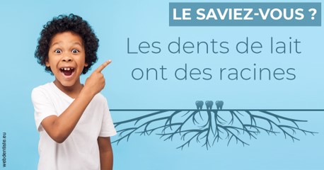https://www.drs-bourhis-et-lawniczak-orthodontistes.fr/Les dents de lait 2