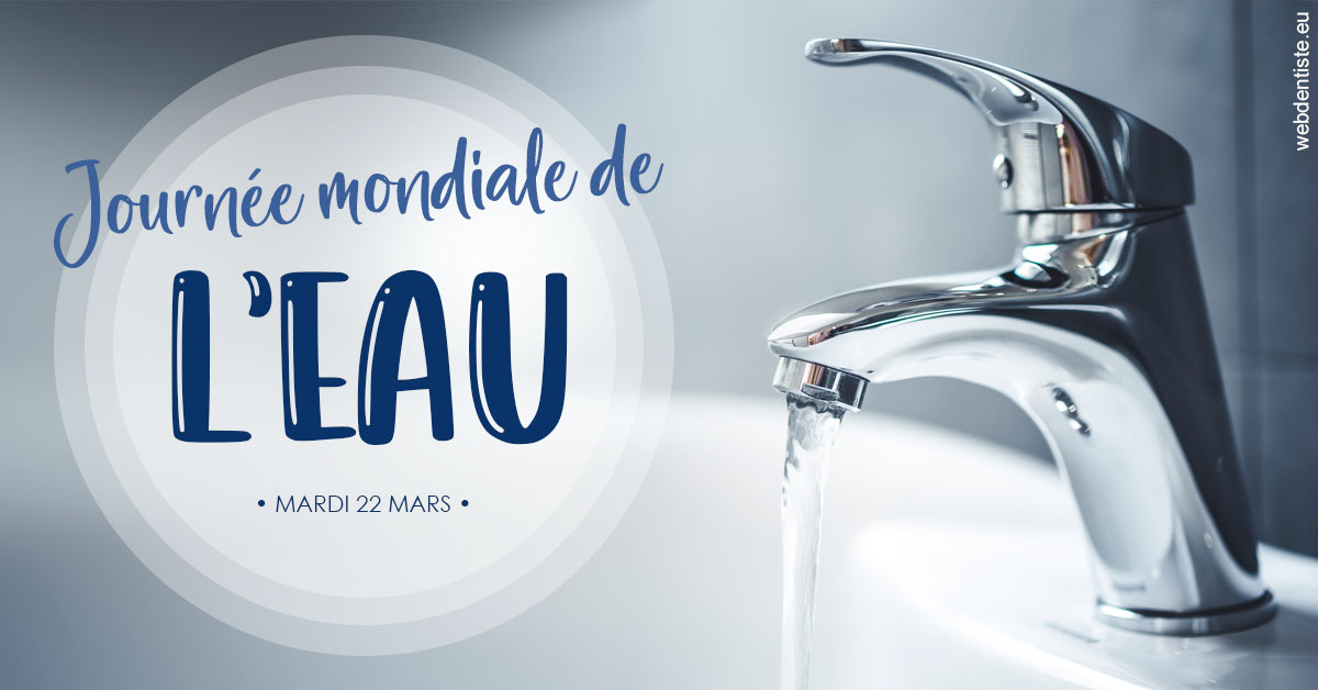 https://www.drs-bourhis-et-lawniczak-orthodontistes.fr/La journée de l'eau 2