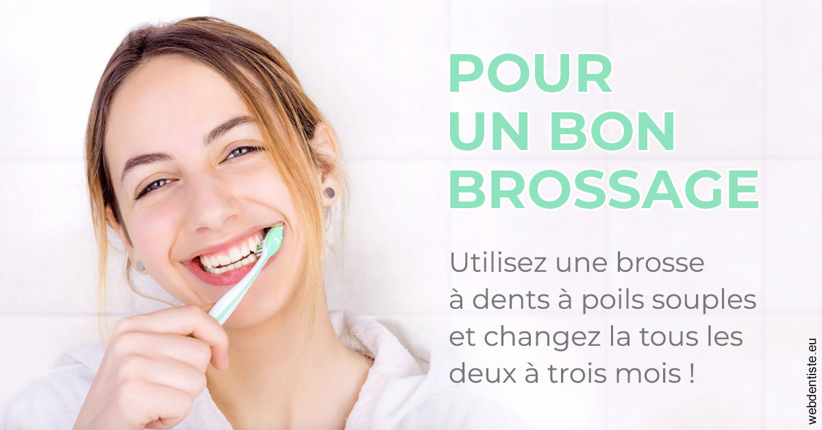 https://www.drs-bourhis-et-lawniczak-orthodontistes.fr/Pour un bon brossage 2