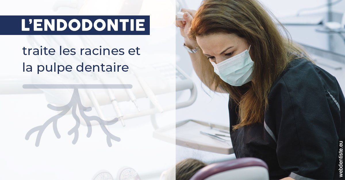 https://www.drs-bourhis-et-lawniczak-orthodontistes.fr/L'endodontie 1