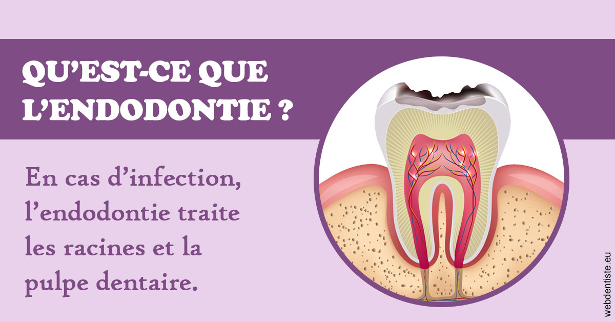 https://www.drs-bourhis-et-lawniczak-orthodontistes.fr/2024 T1 - Endodontie 02