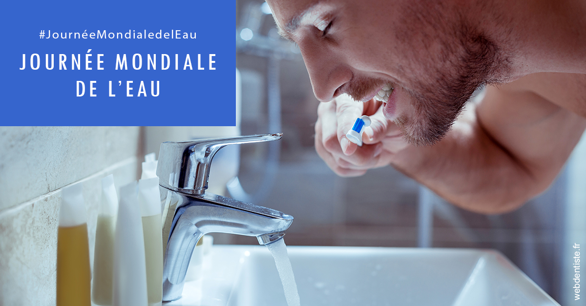 https://www.drs-bourhis-et-lawniczak-orthodontistes.fr/Journée de l'eau 2