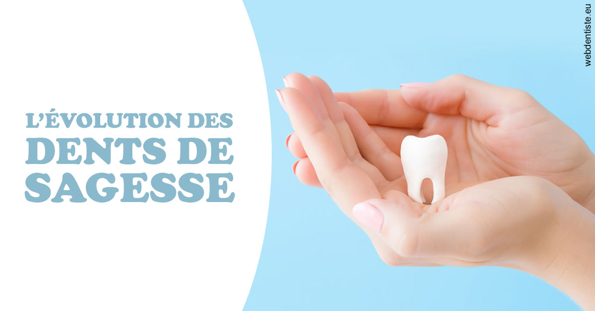 https://www.drs-bourhis-et-lawniczak-orthodontistes.fr/Evolution dents de sagesse 1