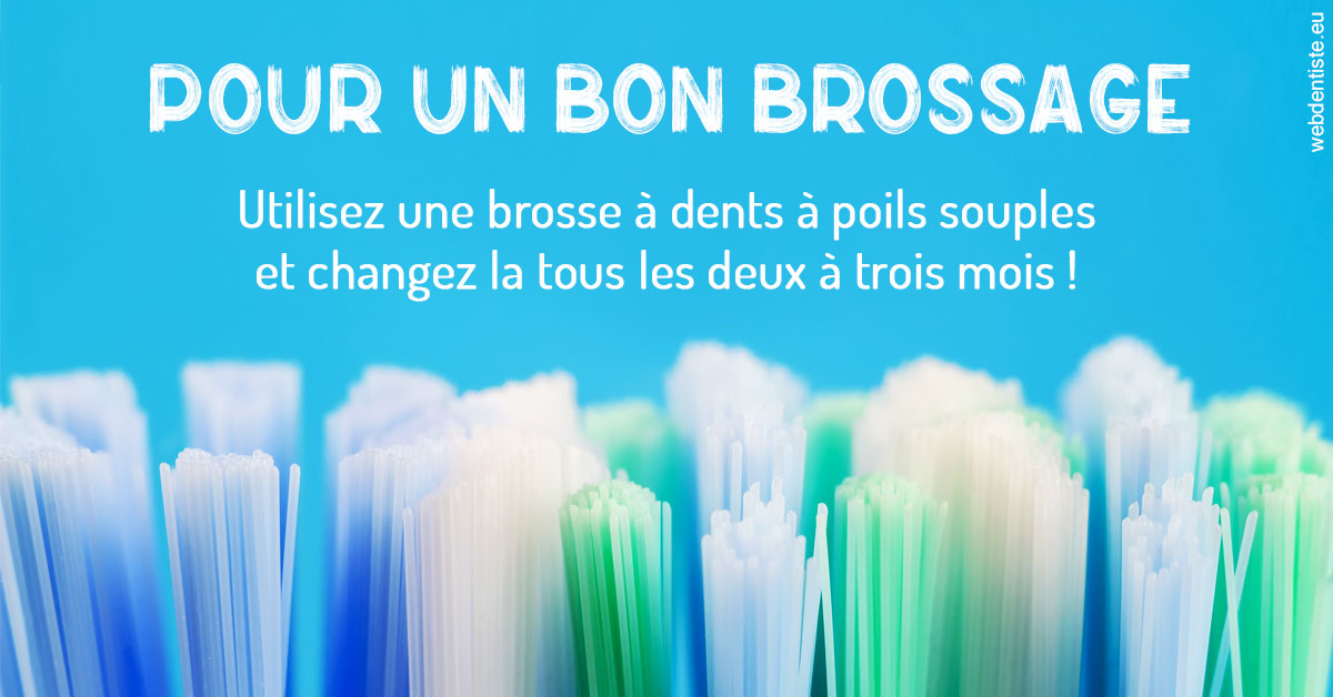 https://www.drs-bourhis-et-lawniczak-orthodontistes.fr/Pour un bon brossage 1