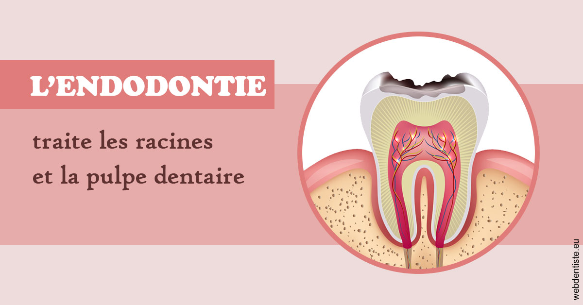 https://www.drs-bourhis-et-lawniczak-orthodontistes.fr/L'endodontie 2