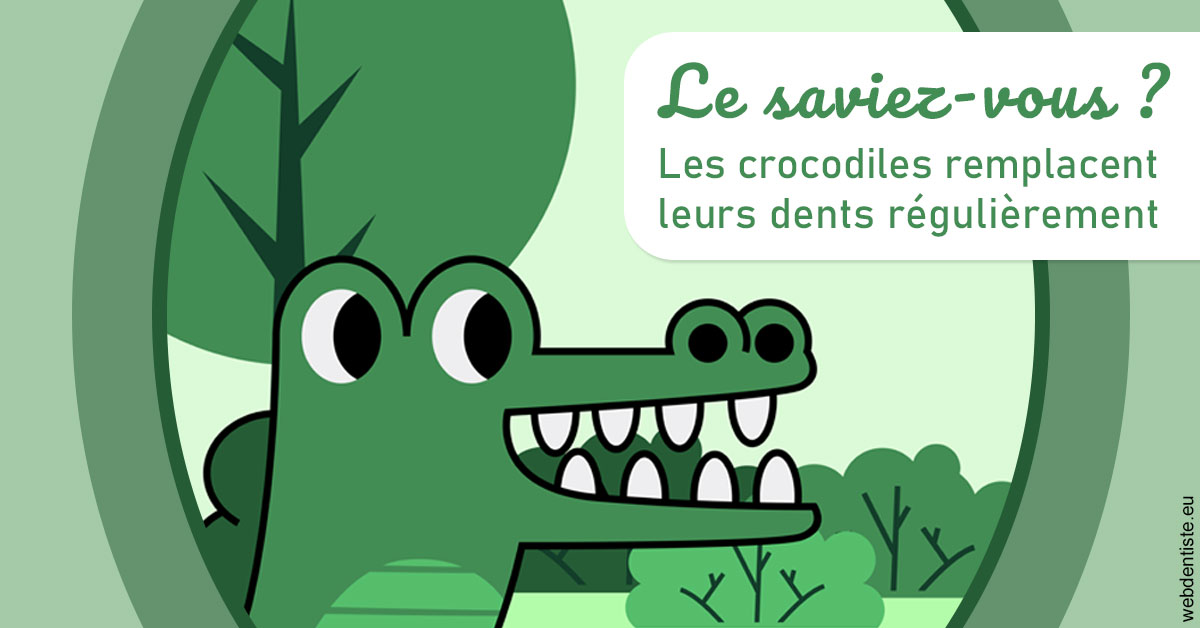 https://www.drs-bourhis-et-lawniczak-orthodontistes.fr/Crocodiles 2