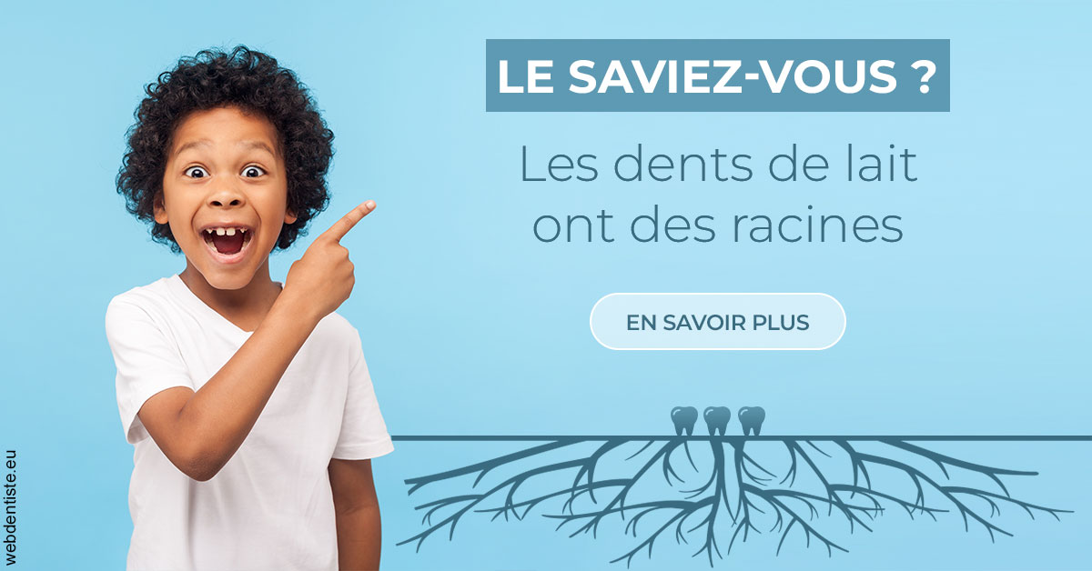 https://www.drs-bourhis-et-lawniczak-orthodontistes.fr/Les dents de lait 2