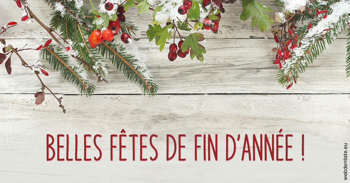 https://www.drs-bourhis-et-lawniczak-orthodontistes.fr/Joyeux Noël 2