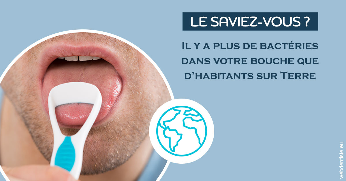 https://www.drs-bourhis-et-lawniczak-orthodontistes.fr/Bactéries dans votre bouche 2