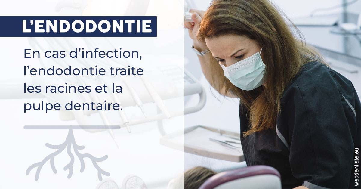 https://www.drs-bourhis-et-lawniczak-orthodontistes.fr/L'endodontie 1