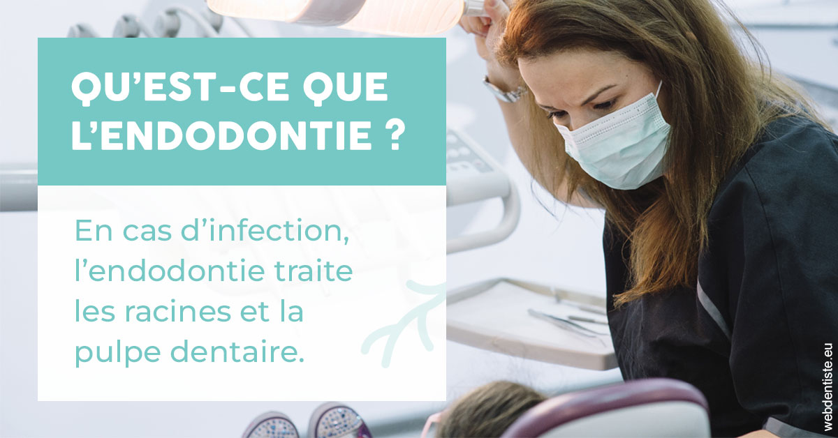 https://www.drs-bourhis-et-lawniczak-orthodontistes.fr/2024 T1 - Endodontie 01