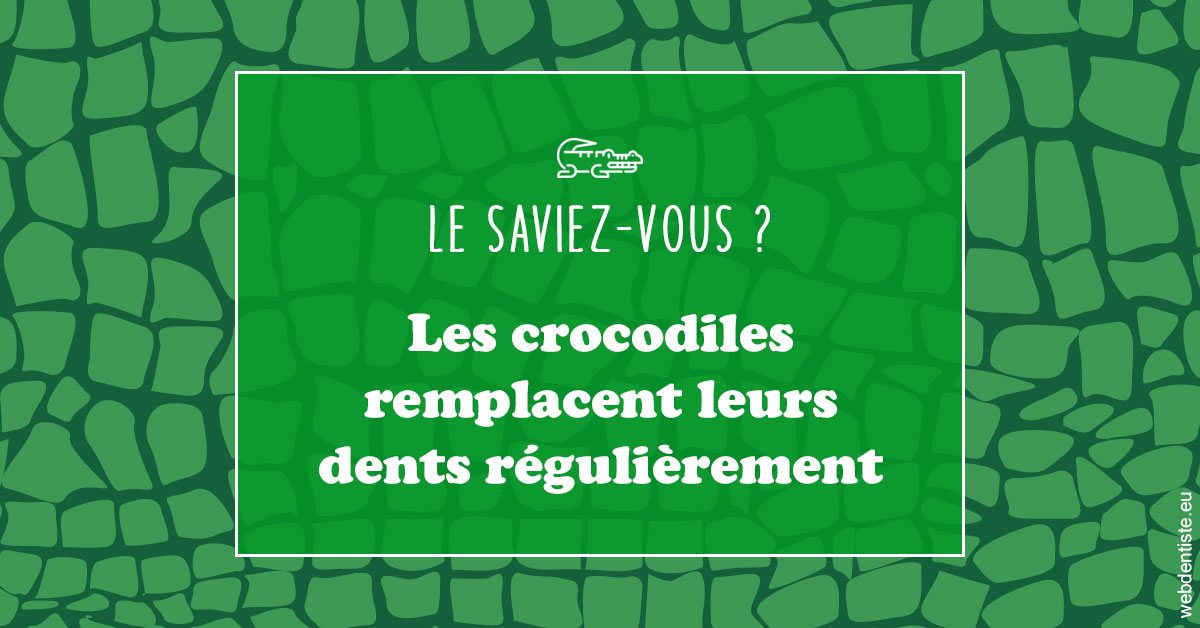 https://www.drs-bourhis-et-lawniczak-orthodontistes.fr/Crocodiles 1