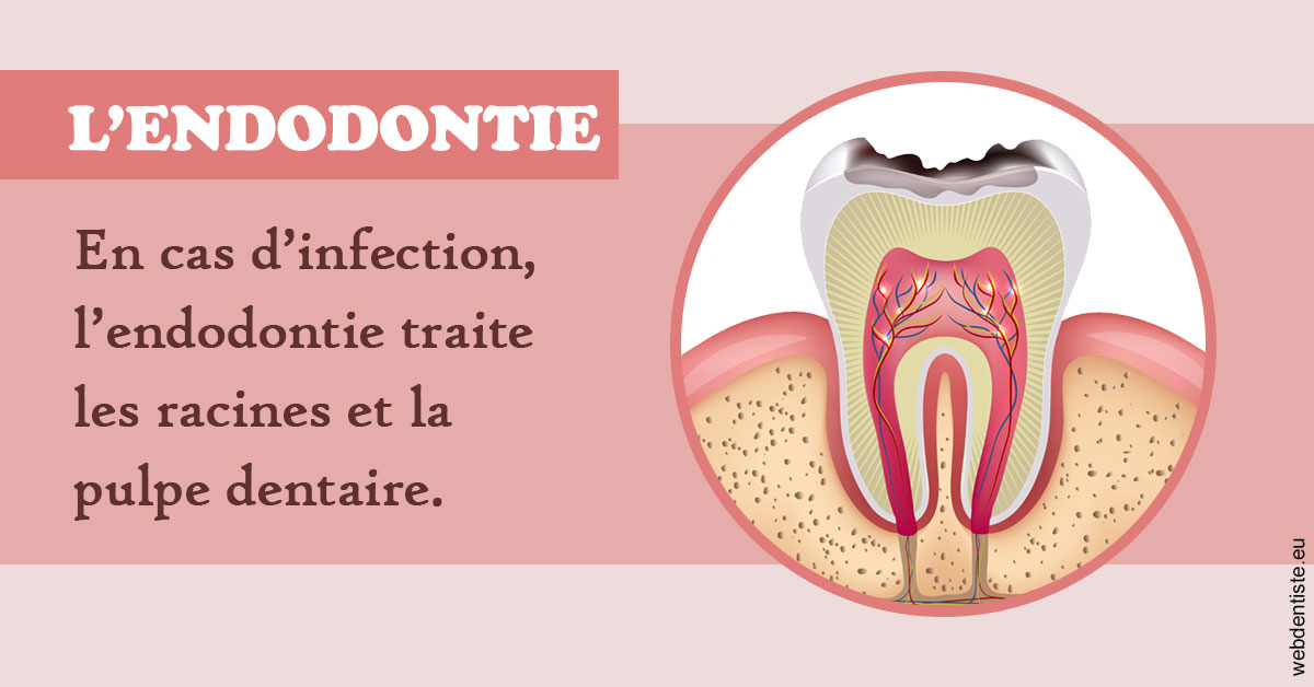 https://www.drs-bourhis-et-lawniczak-orthodontistes.fr/L'endodontie 2