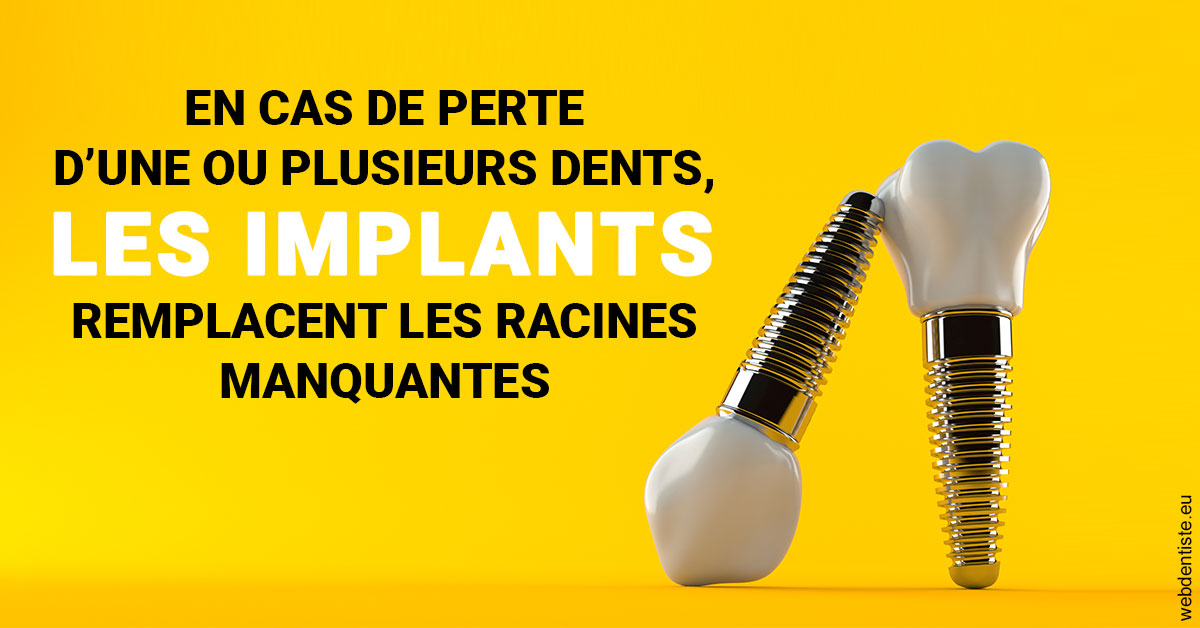 https://www.drs-bourhis-et-lawniczak-orthodontistes.fr/Les implants 2